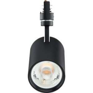 Skinnespots
