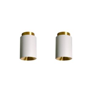 DCWéditions Tobo C85 Duo Loftlampe Hvid