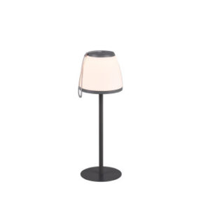 Trio Lighting Domingo genopladelig udendørs lampe