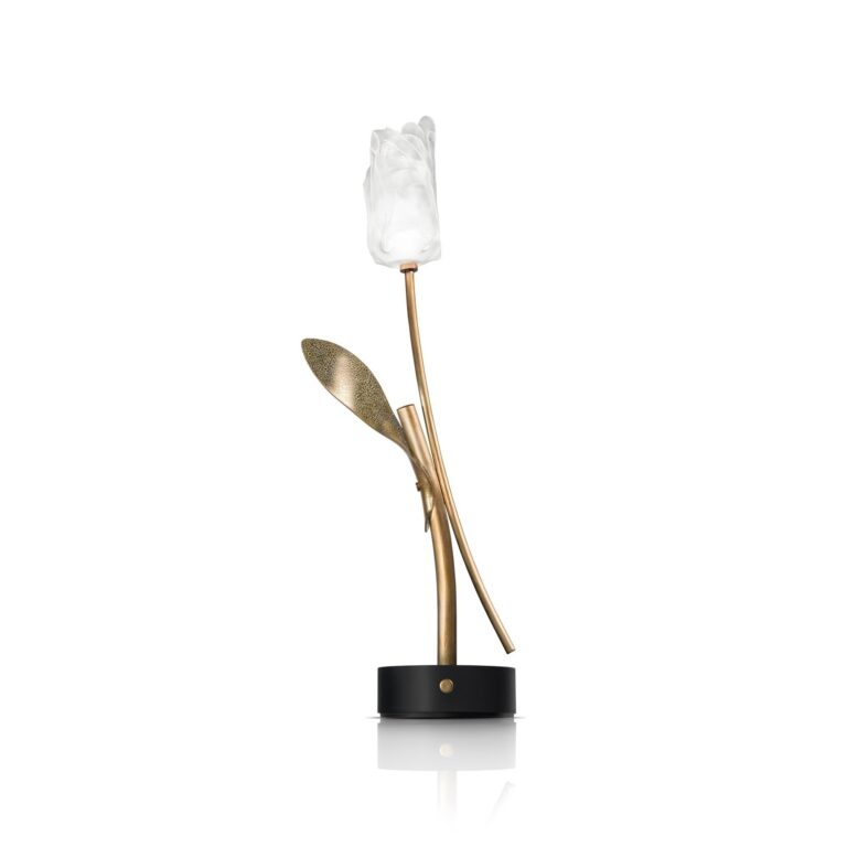Tulip Transportabel Lampe Transparent/Sort Base