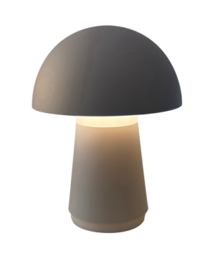 Genopladelige lamper